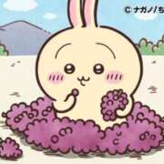 朝日ゆきな シフト出しましたー！ ドクトル・ストレッチ