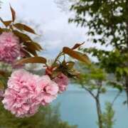 ヒメ日記 2025/04/24 19:11 投稿 ゆい ロイヤルヴィトン(宇都宮)