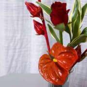 ヒメ日記 2025/12/09 00:15 投稿 ゆい ロイヤルヴィトン(宇都宮)