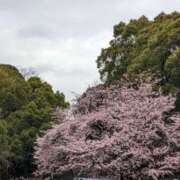 ヒメ日記 2025/03/12 10:54 投稿 めい(昭和40年生まれ) 熟年カップル名古屋～生電話からの営み～