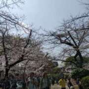 ヒメ日記 2025/03/27 11:13 投稿 めい(昭和40年生まれ) 熟年カップル名古屋～生電話からの営み～