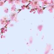 矢野しのぶ またまいります 五十路マダム 岐阜店