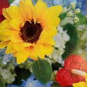 矢野しのぶ 覚えてる?? 五十路マダム 岐阜店