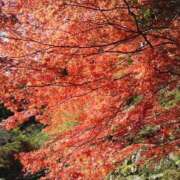 矢野しのぶ 　元気にしてます（＾∇＾） 五十路マダム 岐阜店