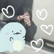 ヒメ日記 2025/02/10 06:00 投稿 まこ 世界のあんぷり亭 新橋店