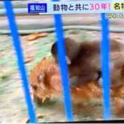 ヒメ日記 2026/03/31 20:26 投稿 吉岡美来(よしおかみらい) 五十路マダム福知山店(カサブランカグループ)