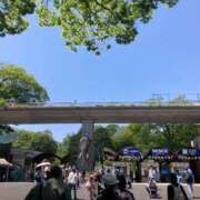 ヒメ日記 2025/05/05 19:31 投稿 桜羽おとは Aroma Garden（アロマガーデン）