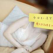 ヒメ日記 2025/06/19 17:54 投稿 桜羽おとは Aroma Garden（アロマガーデン）