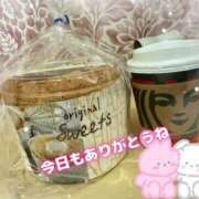 ヒメ日記 2025/11/12 00:05 投稿 桜羽おとは Aroma Garden（アロマガーデン）