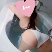 ヒメ日記 2025/12/16 18:01 投稿 桜羽おとは Aroma Garden（アロマガーデン）