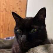 ヒメ日記 2025/03/20 21:04 投稿 米津肖美 五十路マダム 愛されたい熟女たち 高松店