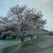 ヒメ日記 2025/03/22 11:44 投稿 米津肖美 五十路マダム 愛されたい熟女たち 高松店