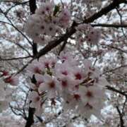 ヒメ日記 2025/03/24 10:12 投稿 米津肖美 五十路マダム 愛されたい熟女たち 高松店