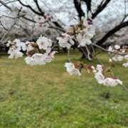 ヒメ日記 2025/05/03 08:16 投稿 米津肖美 五十路マダム 愛されたい熟女たち 高松店