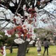 ヒメ日記 2025/05/05 09:14 投稿 米津肖美 五十路マダム 愛されたい熟女たち 高松店