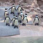 ヒメ日記 2025/07/08 11:00 投稿 米津肖美 五十路マダム 愛されたい熟女たち 高松店