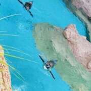 ヒメ日記 2025/07/08 23:44 投稿 米津肖美 五十路マダム 愛されたい熟女たち 高松店