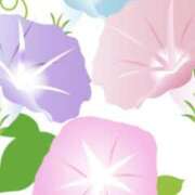 ヒメ日記 2025/07/08 23:48 投稿 米津肖美 五十路マダム 愛されたい熟女たち 高松店