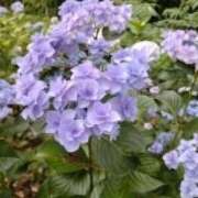 ヒメ日記 2026/05/04 19:12 投稿 米津肖美 五十路マダム 愛されたい熟女たち 高松店