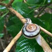 ヒメ日記 2025/05/02 13:27 投稿 丸山 熟らぶ