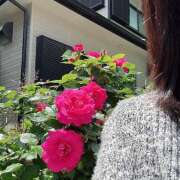 ヒメ日記 2025/05/09 11:12 投稿 丸山 熟らぶ