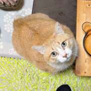 ヒメ日記 2025/05/28 13:25 投稿 丸山 熟らぶ