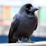 ヒメ日記 2025/06/13 11:07 投稿 丸山 熟らぶ