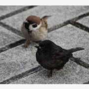 ヒメ日記 2025/09/03 12:04 投稿 丸山 熟らぶ