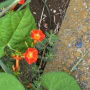 ヒメ日記 2025/09/29 13:20 投稿 丸山 熟らぶ