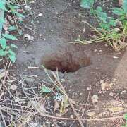 ヒメ日記 2025/11/14 15:14 投稿 丸山 熟らぶ