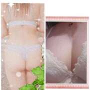 ヒメ日記 2025/01/29 08:28 投稿 こまち 熟女家 堺東店