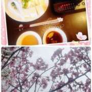 ヒメ日記 2025/04/01 08:28 投稿 こまち 熟女家 堺東店