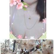 ヒメ日記 2025/04/05 08:28 投稿 こまち 熟女家 堺東店