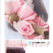 ヒメ日記 2025/04/14 08:33 投稿 こまち 熟女家 堺東店