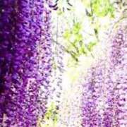 ヒメ日記 2025/05/06 08:48 投稿 こまち 熟女家 堺東店