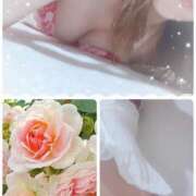 ヒメ日記 2025/06/16 08:48 投稿 こまち 熟女家 堺東店