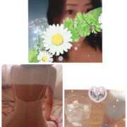 ヒメ日記 2025/06/19 08:38 投稿 こまち 熟女家 堺東店