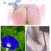 ヒメ日記 2025/08/07 08:37 投稿 こまち 熟女家 堺東店