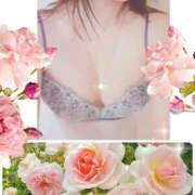 ヒメ日記 2025/09/25 08:37 投稿 こまち 熟女家 堺東店