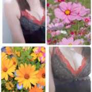 ヒメ日記 2025/10/06 08:47 投稿 こまち 熟女家 堺東店