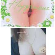 ヒメ日記 2025/10/27 15:07 投稿 こまち 熟女家 堺東店