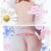 ヒメ日記 2025/12/16 08:47 投稿 こまち 熟女家 堺東店