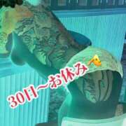 ヒメ日記 2024/12/25 09:48 投稿 本間 鶯谷デッドボール