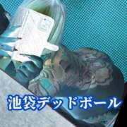 ヒメ日記 2025/02/12 10:29 投稿 本間 鶯谷デッドボール