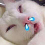 ヒメ日記 2025/03/11 11:39 投稿 本間 鶯谷デッドボール