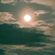 ヒメ日記 2025/04/13 18:19 投稿 本間 鶯谷デッドボール