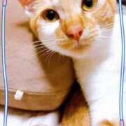 ヒメ日記 2025/04/21 20:19 投稿 本間 鶯谷デッドボール