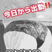 ヒメ日記 2025/04/28 07:09 投稿 本間 鶯谷デッドボール