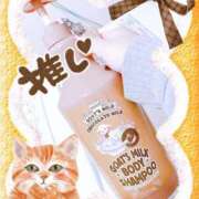 ヒメ日記 2025/05/12 10:20 投稿 本間 鶯谷デッドボール