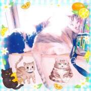 ヒメ日記 2025/05/26 10:29 投稿 本間 鶯谷デッドボール